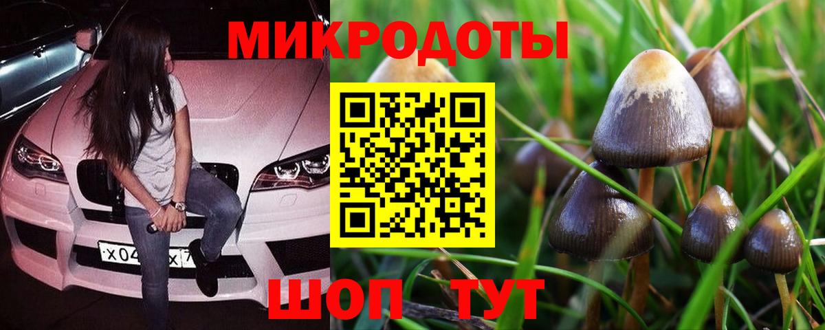 Нововоронеж  Псилоцибиновые грибы мухоморы  Вход с VPN 